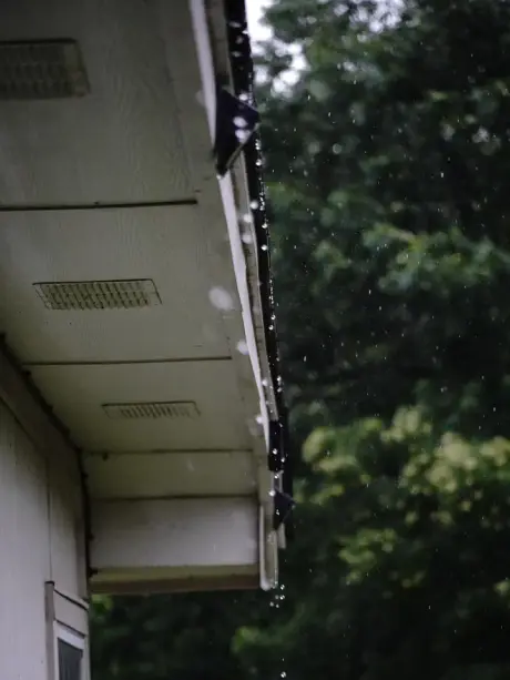 A white gutter and soffit running under overhanging trees